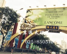 南京王府大街玻璃钢龙雕塑造景工程