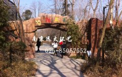 扬州动物园猿猴王国水泥直塑造景工程
